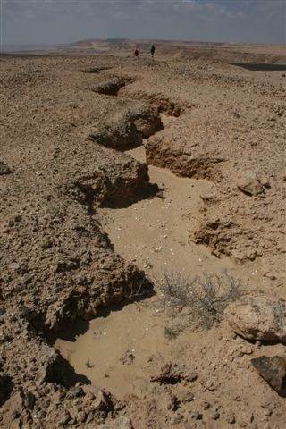 Trincea al passo del cammello