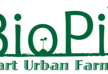 Rinasce l’Orto alla Casa Bianca