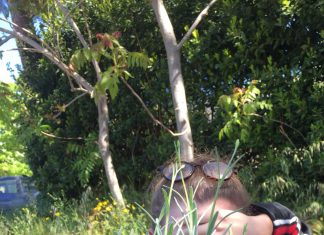 Orto Didattico per Bambini: Come Creare un Angolo di Natura in Terrazza o Giardino Un mini orto a scuola con contenitori riciclati