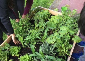 L’agricoltura alla prova della sostenibilità