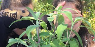 Orti scolastici e laboratori di agricoltura: come insegnare l’economia circolare e l’importanza del cibo a km0 ai nostri studenti Orti scolastici e laboratori di agricoltura: come insegnare l'economia circolare e l'importanza del cibo a km0 ai nostri studenti