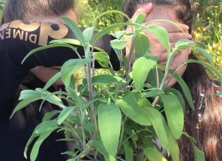 Orti scolastici e laboratori di agricoltura: come insegnare l’economia circolare e l’importanza del cibo a km0 ai nostri studenti Orti scolastici e laboratori di agricoltura: come insegnare l'economia circolare e l'importanza del cibo a km0 ai nostri studenti