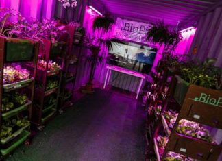 Fieragricola: BioPic con ICE Porta l’Orto dei Maker su Marte.