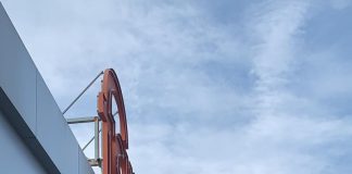 Allarme Corona Virus, la prima foto tra le persone in quarantena tutte in fila al supermarket. Casalpusterlengo in fila al supermercato