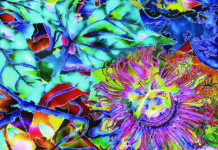 Grande successo per “LA STANZA FIORITA” – RAW, ROME ART WEEK 2021 by GART