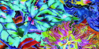Grande successo per “LA STANZA FIORITA” – RAW, ROME ART WEEK 2021 by GART