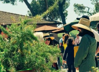 Il decalogo dell’Orto in casa: guida completa per avere successo