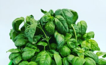 Sostenibilità e competitività: nuovi percorsi di sviluppo