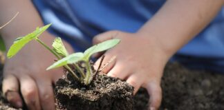 Gli Orti salveranno il mondo Bambino pianta una nuova vita!