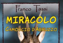 Il Miracolo del Camoscio d’Abruzzo: La Storia di un Salvataggio Impossibile