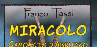 Il Miracolo del Camoscio d’Abruzzo: La Storia di un Salvataggio Impossibile
