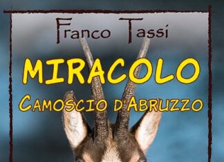 Il Miracolo del Camoscio d’Abruzzo: La Storia di un Salvataggio Impossibile