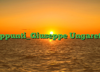 Appunti_Giuseppe Ungaretti Appunti_Giuseppe Ungaretti
