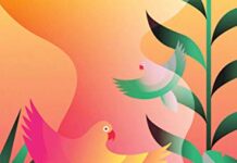 Sepulveda “La Lampada di Aladino”