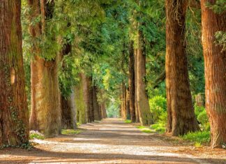Il Presidente Rocca nomina 7 commissari dei Parchi del Lazio Parchi del Lazio Commissariati dalla Regione