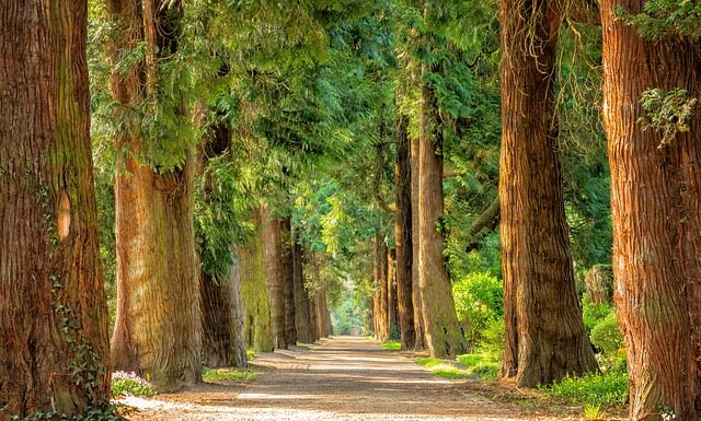 Il Presidente Rocca nomina 7 commissari dei Parchi del Lazio Parchi del Lazio Commissariati dalla Regione
