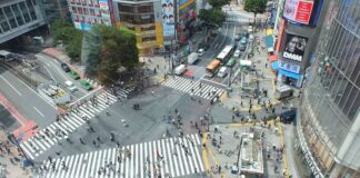 La Danza delle Quattro Isole: il Problema dei Territori Settentrionali Giapponesi e la Russia La questione delle Isole del Nord è uno degli incroci della storia come il famoso Shibuya Crossing