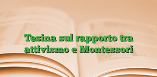 Tesina sul rapporto tra attivismo e Montessori Tesina sul rapporto tra attivismo e Montessori