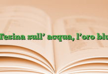 Tesina sull’ acqua, l’oro blu Tesina sull’ acqua, l’oro blu