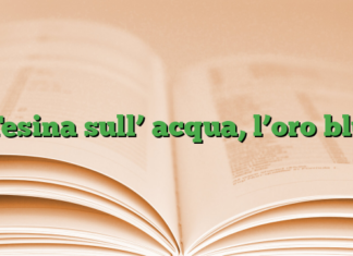 Tesina sull’ acqua, l’oro blu Tesina sull’ acqua, l’oro blu