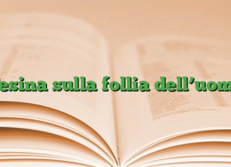 Tesina sulla follia dell’uomo Tesina sulla follia dell’uomo