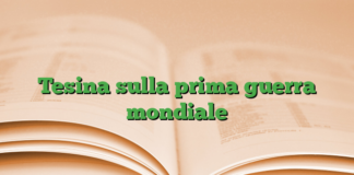 Tesina sulla prima guerra mondiale Tesina sulla prima guerra mondiale