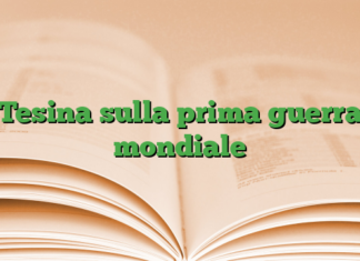Tesina sulla prima guerra mondiale Tesina sulla prima guerra mondiale