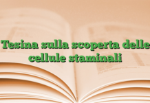 Tesina sulla scoperta delle cellule staminali Tesina sulla scoperta delle cellule staminali