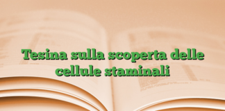 Tesina sulla scoperta delle cellule staminali Tesina sulla scoperta delle cellule staminali
