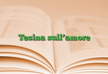 Tesina sull’amore Tesina sull’amore