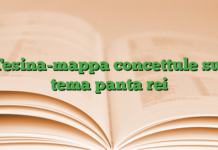 Tesina-mappa concettule sul tema panta rei Tesina-mappa concettule sul tema panta rei