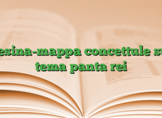 Tesina-mappa concettule sul tema panta rei Tesina-mappa concettule sul tema panta rei