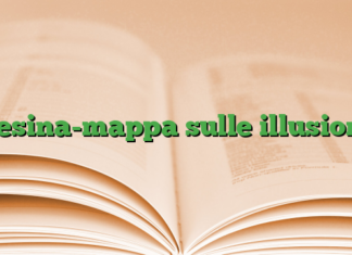 Tesina-mappa sulle illusioni Tesina-mappa sulle illusioni