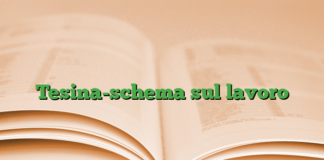 Tesina-schema sul lavoro Tesina-schema sul lavoro