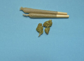 Quasi il 5% degli studenti delle medie farebbe uso di Cannabis: I medici a congresso per valutare i rischi