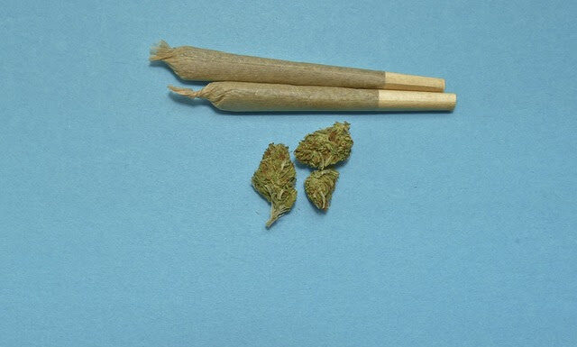 Quasi il 5% degli studenti delle medie farebbe uso di Cannabis: I medici a congresso per valutare i rischi