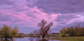 Scuole chiuse, torna l’incubo DAD, ma molti studenti sono a spalare il fango