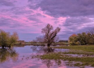 Scuole chiuse, torna l’incubo DAD, ma molti studenti sono a spalare il fango