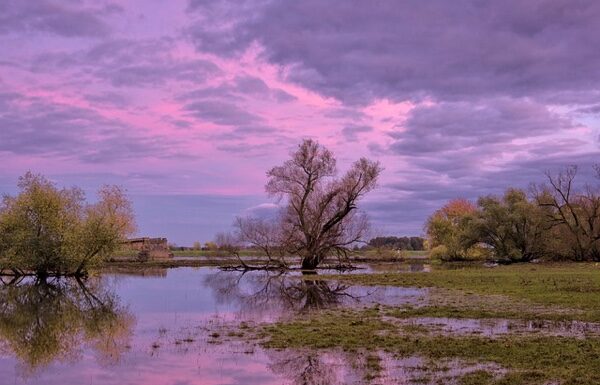 Scuole chiuse, torna l’incubo DAD, ma molti studenti sono a spalare il fango