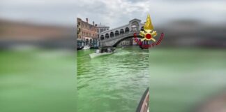 Venezia: Una Chiazza Fluorescente Colora di Verde il Canal Grande