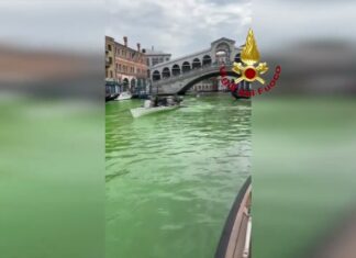 Venezia: Una Chiazza Fluorescente Colora di Verde il Canal Grande