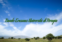 Bando Erasmus Università di Perugia Bando Erasmus Università di Perugia