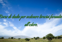 Borse di studio per sostenere tirocini formativi all’estero, Borse di studio per sostenere tirocini formativi all’estero,