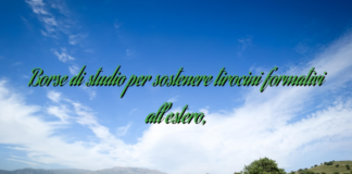 Borse di studio per sostenere tirocini formativi all’estero, Borse di studio per sostenere tirocini formativi all’estero,