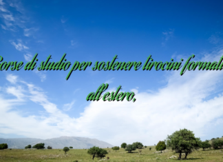 Borse di studio per sostenere tirocini formativi all’estero, Borse di studio per sostenere tirocini formativi all’estero,