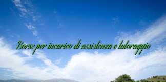 Borse per incarico di assistenza e tutoraggio Borse per incarico di assistenza e tutoraggio