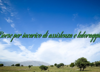 Borse per incarico di assistenza e tutoraggio Borse per incarico di assistenza e tutoraggio