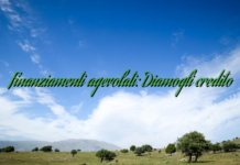 Finanziamenti agevolati: Diamogli credito Finanziamenti agevolati: Diamogli credito