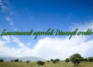 Finanziamenti agevolati: Diamogli credito Finanziamenti agevolati: Diamogli credito