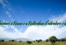 I barbari a Roma e a Rotterdam il vibratore è arte I barbari a Roma e a Rotterdam il vibratore è arte
